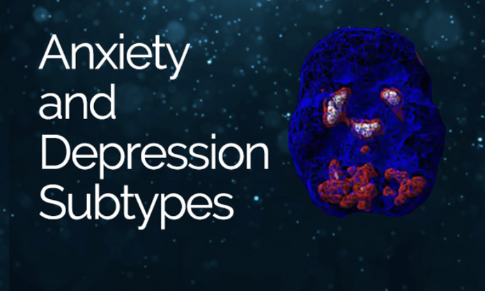 Anxiety and Depression Subtypes
