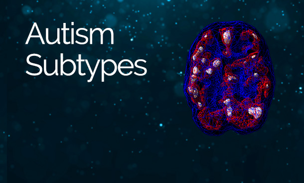 Autism Subtypes