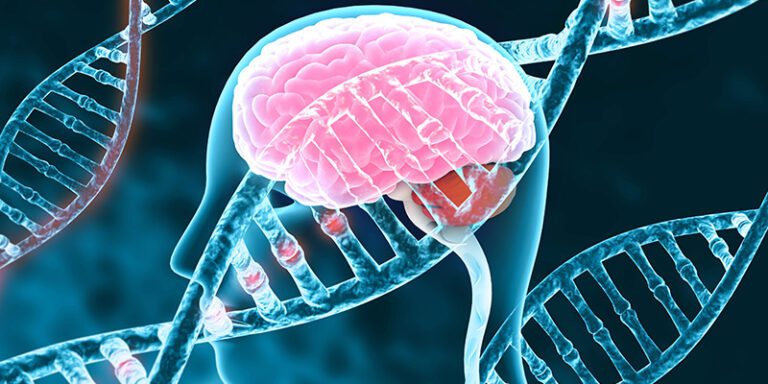 Alzheimer’s gene