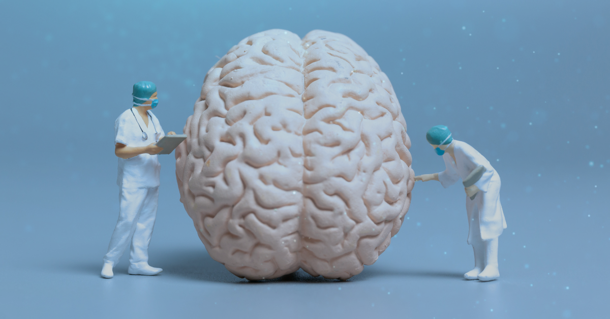 doctors looking at a large brain