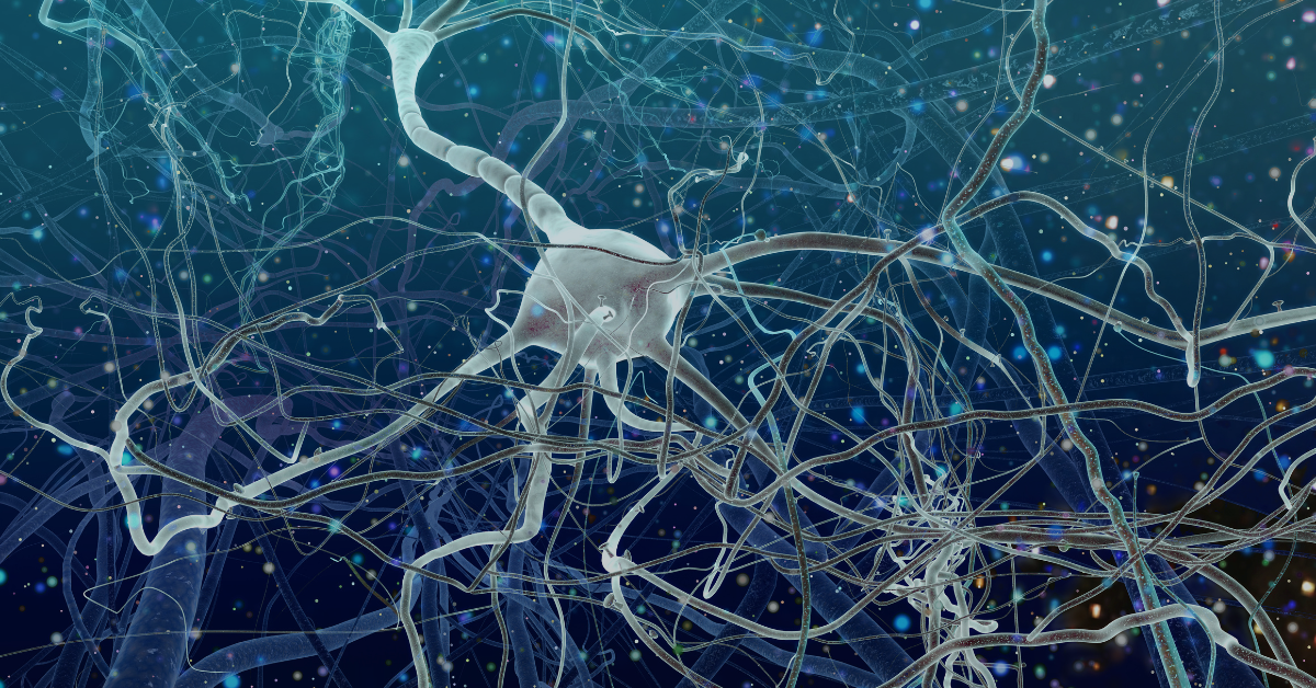 How to Hack Your Brain Chemicals