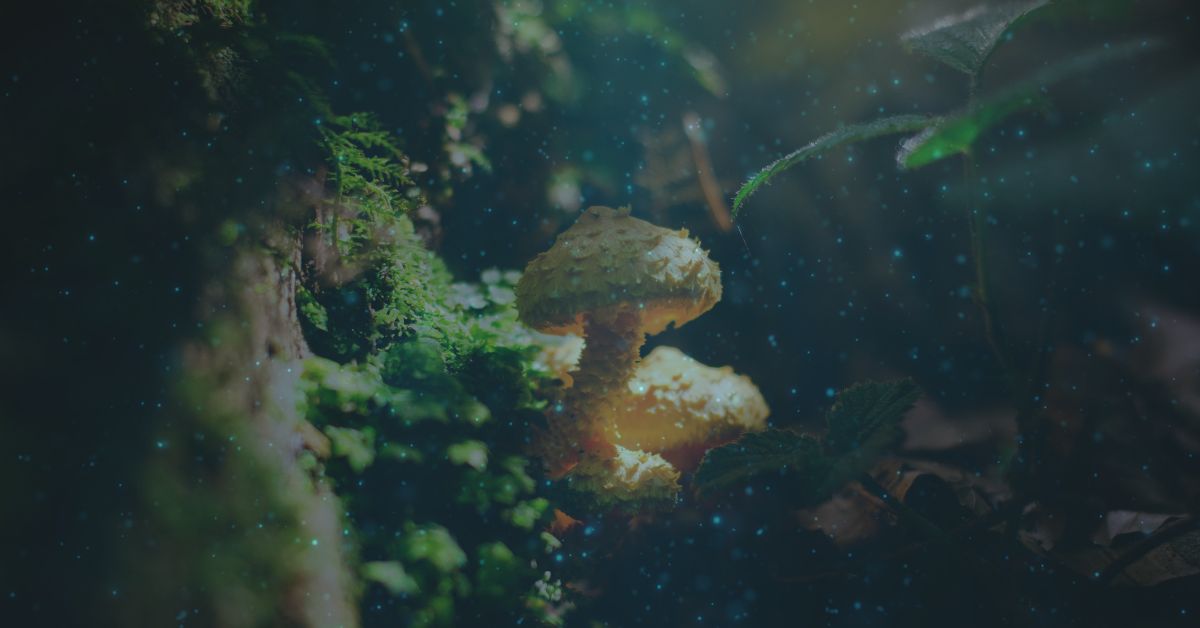 Psilocybin Depression Treatment: Are Magic Mushrooms Safe?