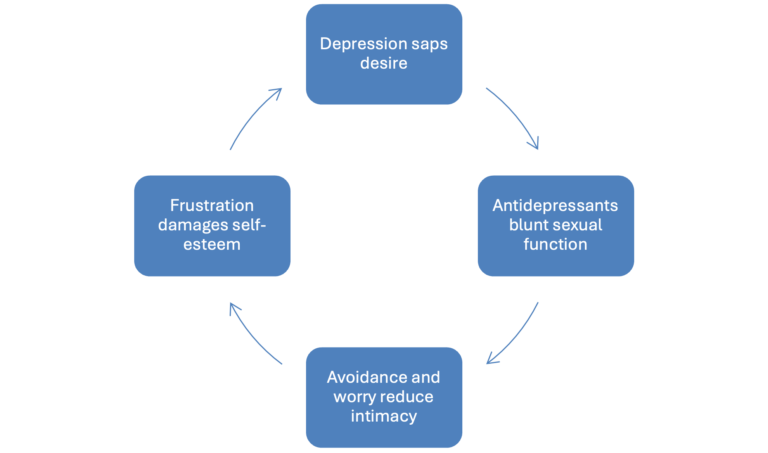 Depression – Sexual Dysfunction – Depression Cycle