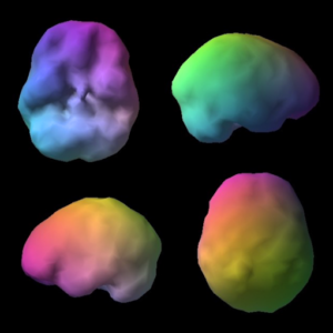 healthy brain scan image