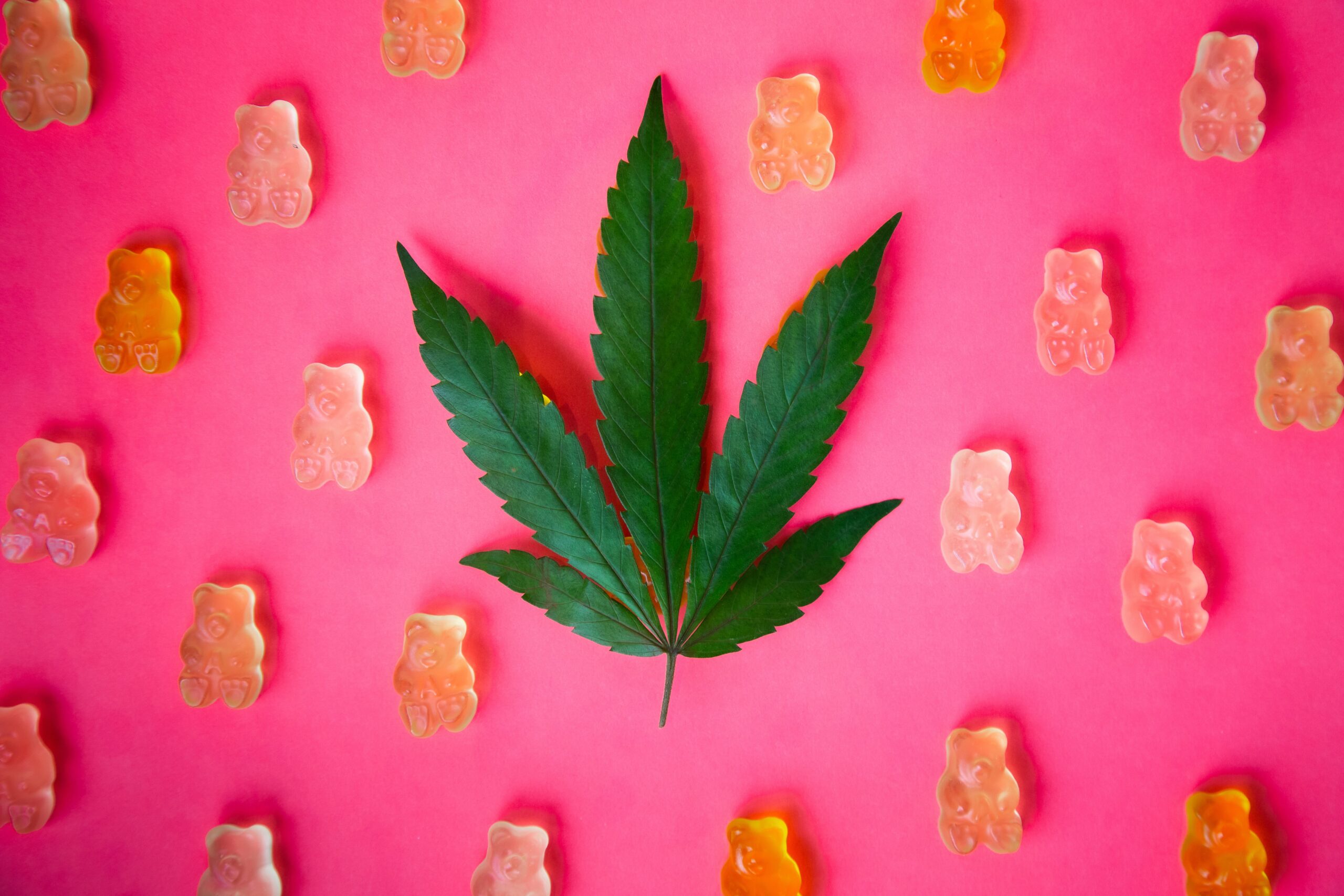 ACI_Quit Marijuana 11 Easy Steps to Stop Cannabis_BLOG_A copy.jpeg